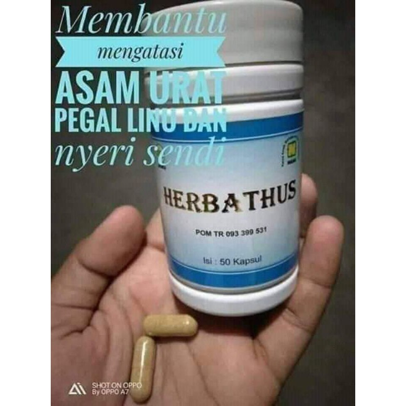 

HERBATHUS/MENGATASI ASAM URAT/NYERI SENDI/HERBAL
