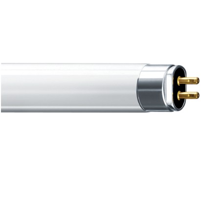 TL5 Essential 21W/830 1SL/40