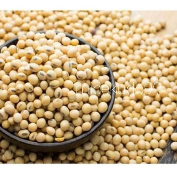 

NATURAL KACANG KEDELAI ORGANIK 500GR / BIJI KACANG KEDELE / SOY BEAN