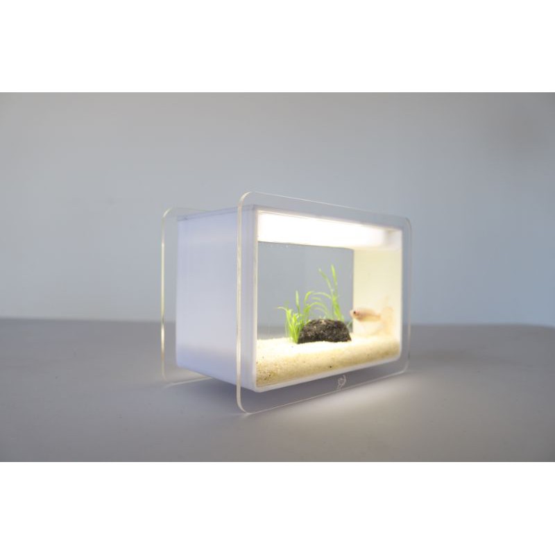  AQUARIUM  MINI  UNTUK  AQUASCAPE ATAU CUPANG  Shopee Indonesia