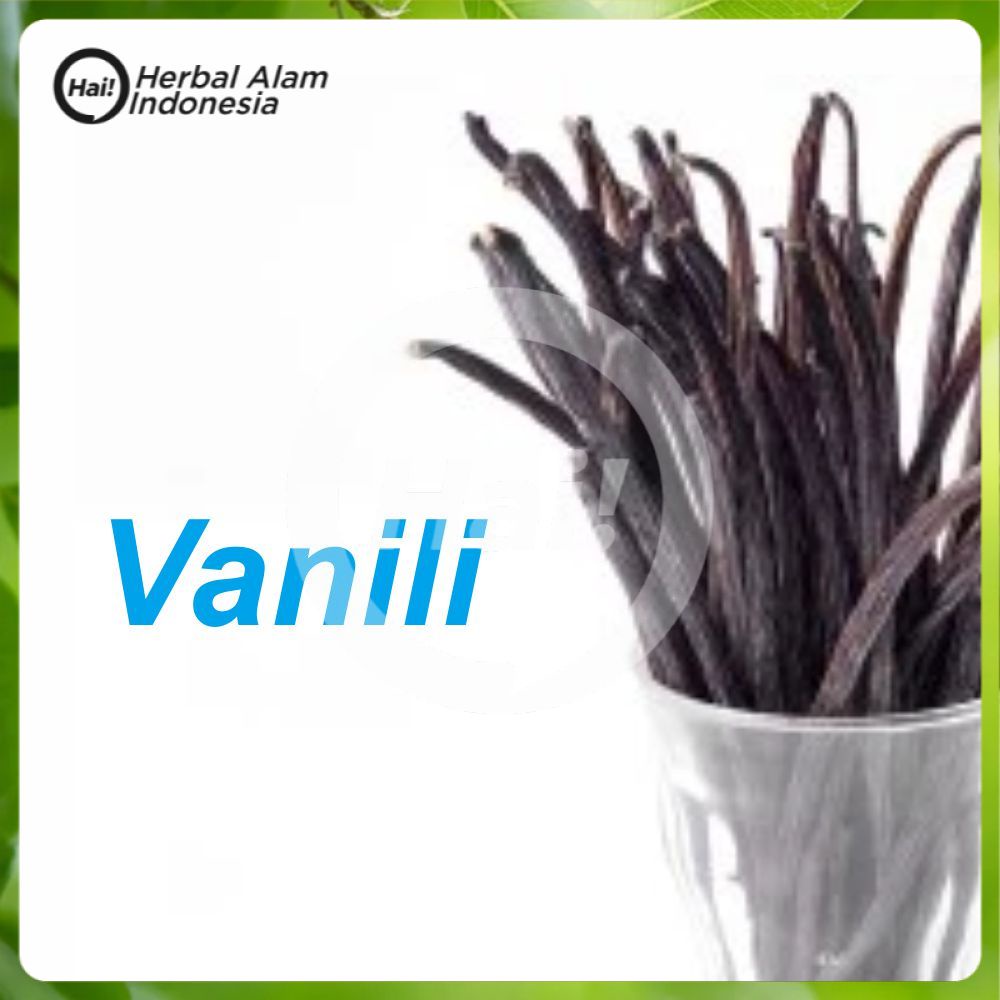 

Vanilla Bean Vanilli utuh per batang Stok Terbaru Biji Vanili Vanilla segar HAI STORE