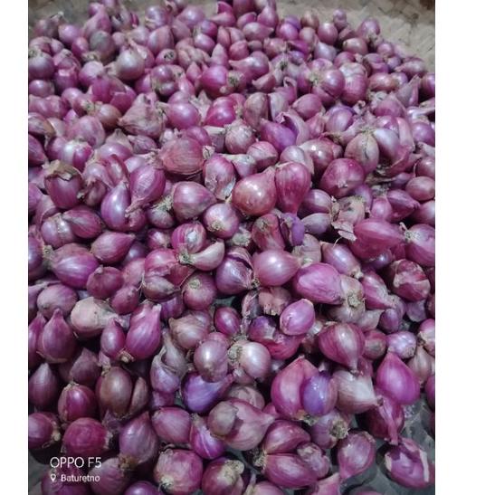 

COD !!! 9.9 Bawang Merah tanggung besar 1 kg [KODE 593]