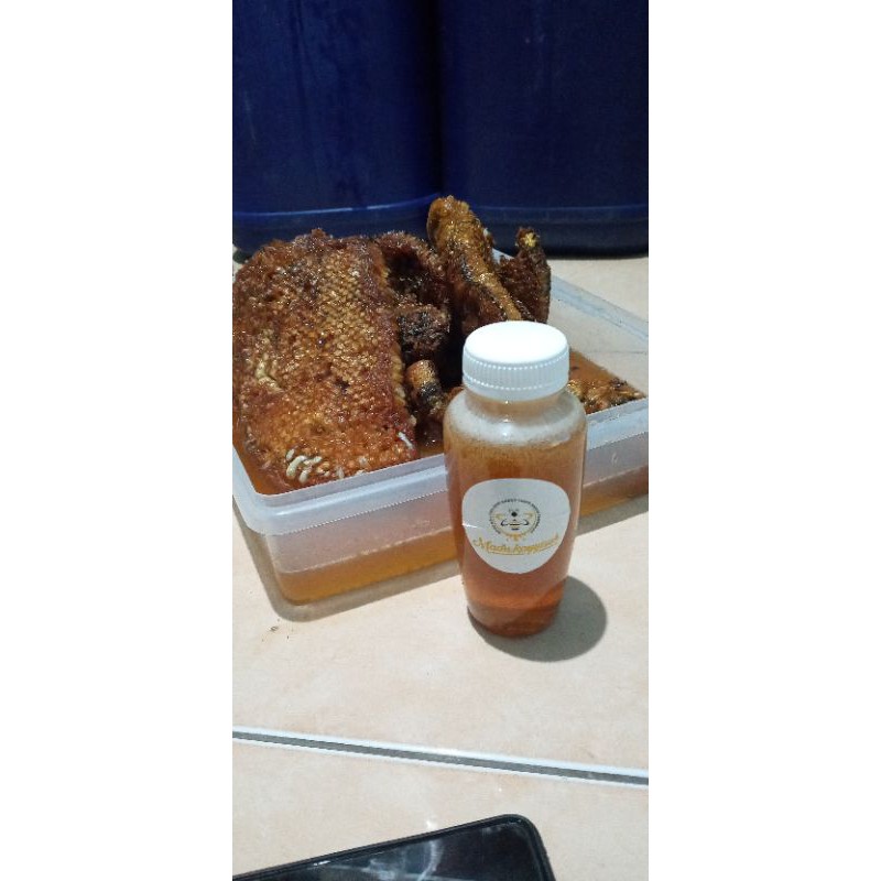 

madu lebah liar
