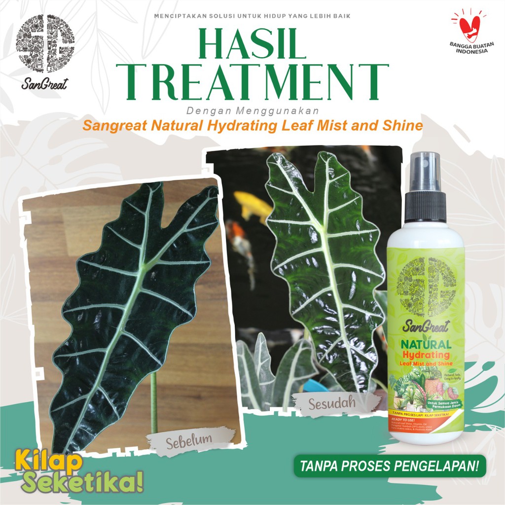 Semir kilap daun Water Base + vitamin Tanpa Pengelapan SanGreat Hydrating Leaf Mist &amp; shine 250 ml