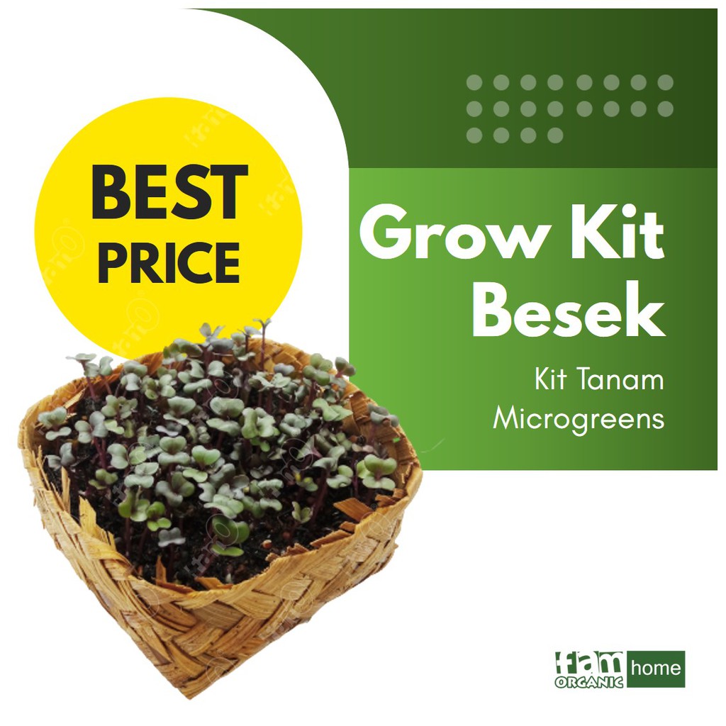 Kit Menanam Microgreen / Paket Microgreens Besek Pemula Murah