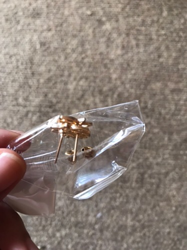 Anting Bunga Teratai Tanaman Bunga Perempuan Berongga Sederhana Dan Bergaya