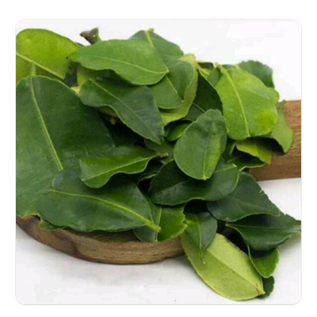 

DAUN JERUK 100 GRAM