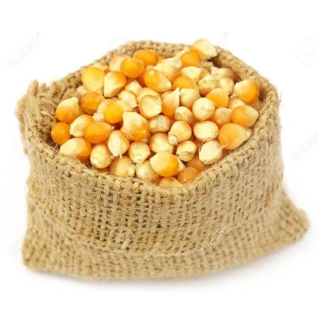 

RB Jagung Popcorn / Popcorn Kernel (1 kilogram) by Granology