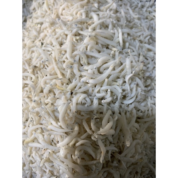 

[DAPUR EXPRESS] Ikan Teri Nasi 100 gram