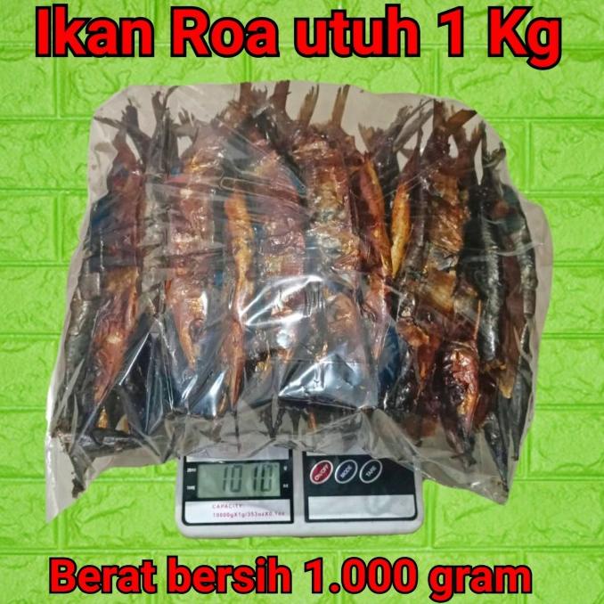 

Ikan Roa Utuh 1Kg / Ikan Roa / Roa