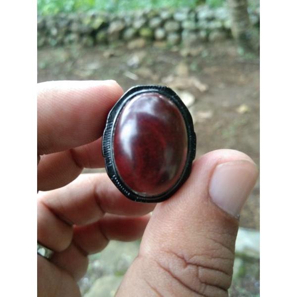 Cincin Kayu Nagasari