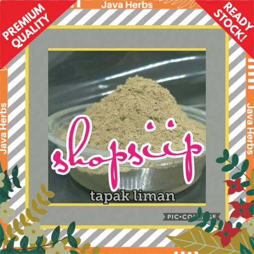 

tapak liman / elephantopus scaber bubuk 100 gram