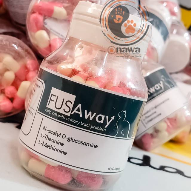 Obat Fus Untuk Kucing Yang Susah Kencing