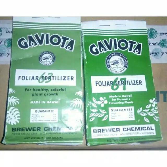 Gaviota 63/67 100grm