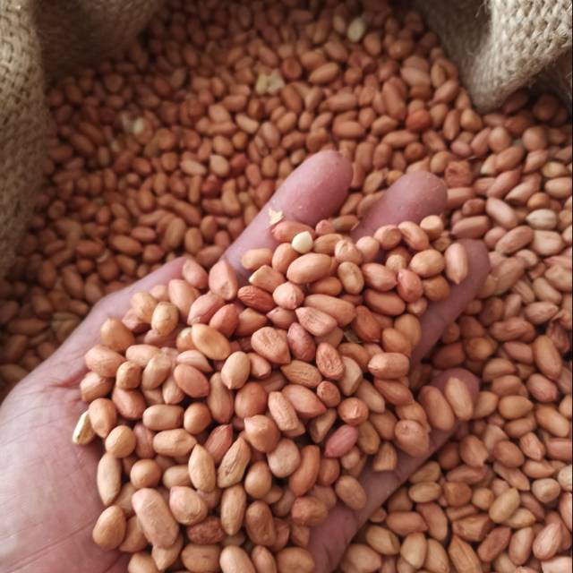 

Kacang Tanah 1 kg