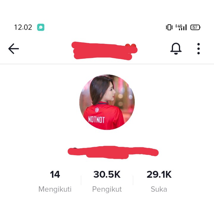 Jual Akun TikTok 21K-30K Followers Real Human Murah