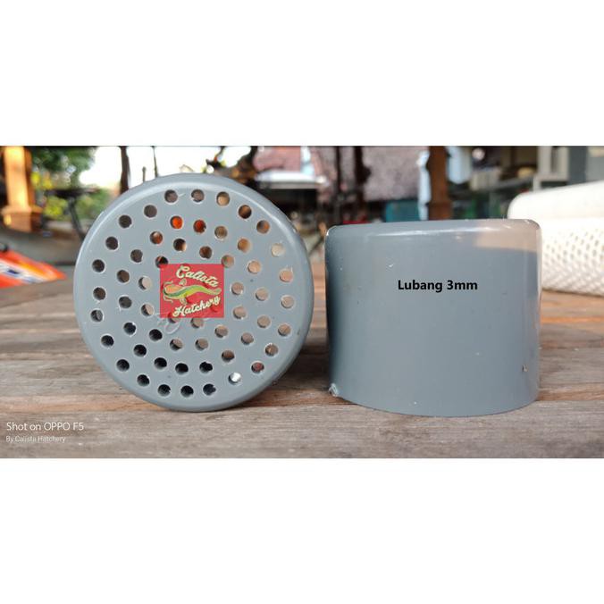 Promo Termurah Tutup Paralon 2,5Inch Lubang 3Mm Dop Pipa Kualitas Super