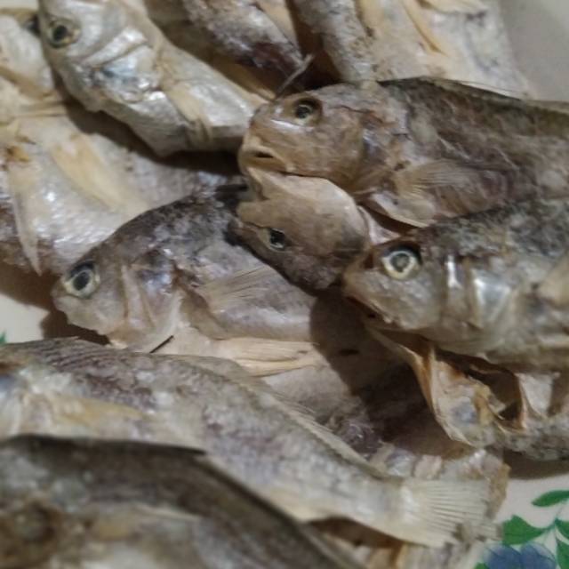 

Ikan Asin Kepala Batu / Ikan Asin GULAMA / Ikan Asin SAMGE