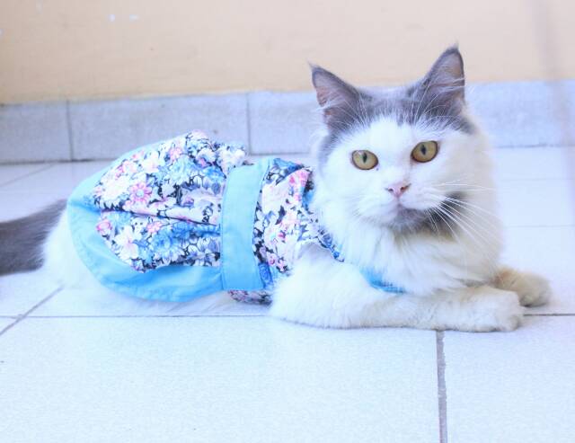 Dress half kimono untuk kucing dan anjing / baju kucing lucu / dress kucing size S M L XL