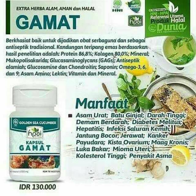 Gamat hni hpai/gamat tripang emas/obat herbal