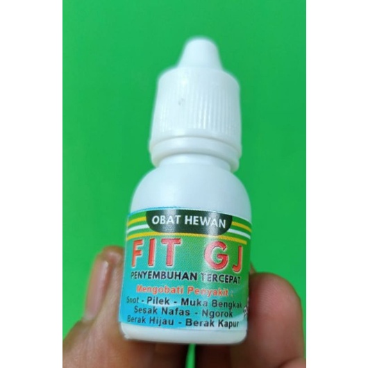 OBAT AYAM FIT GJ SABUNG obat ayam senot ngorok
