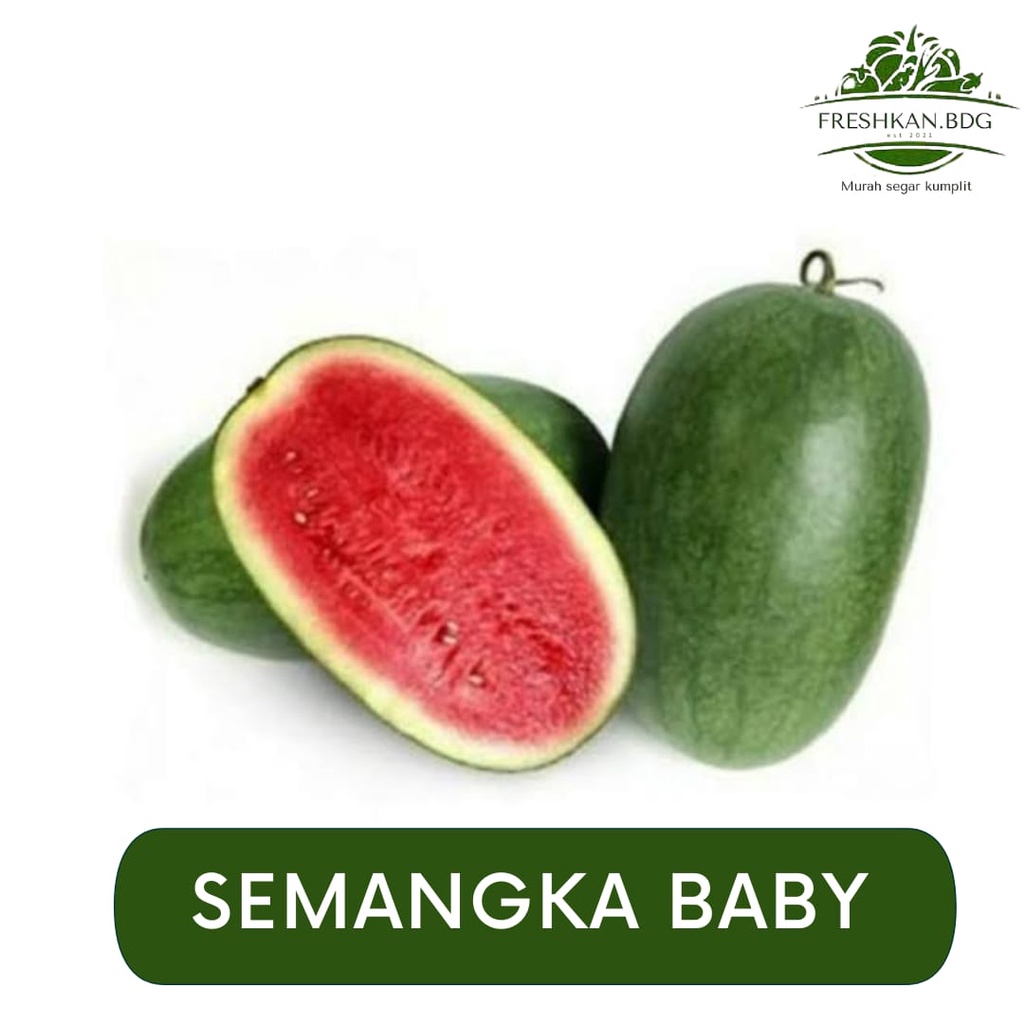 

SEMANGKA BABY BUAH SEGAR FREHKAN.BDG