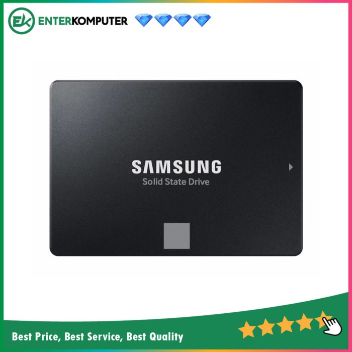 Samsung SSD 870 EVO 500GB - Grs 5th