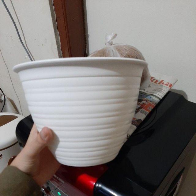Pot Tawon 18 Cm
