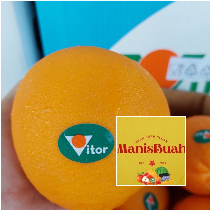 

sunkist navel buah segar per dus