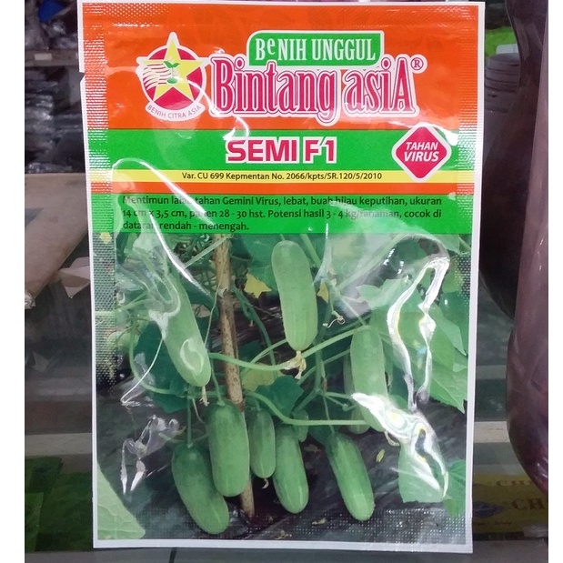 Benih Timun Semi F1 20 gr