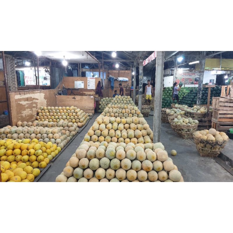 

Melon Madu, Melon Golden