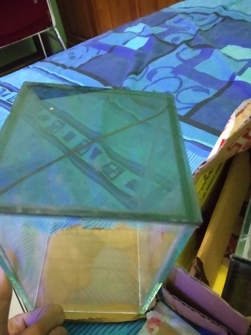 [termurah]soliter Cupang Harga Murah |setiap Pembelian Bonus Sekat|packing Kardus Tebal