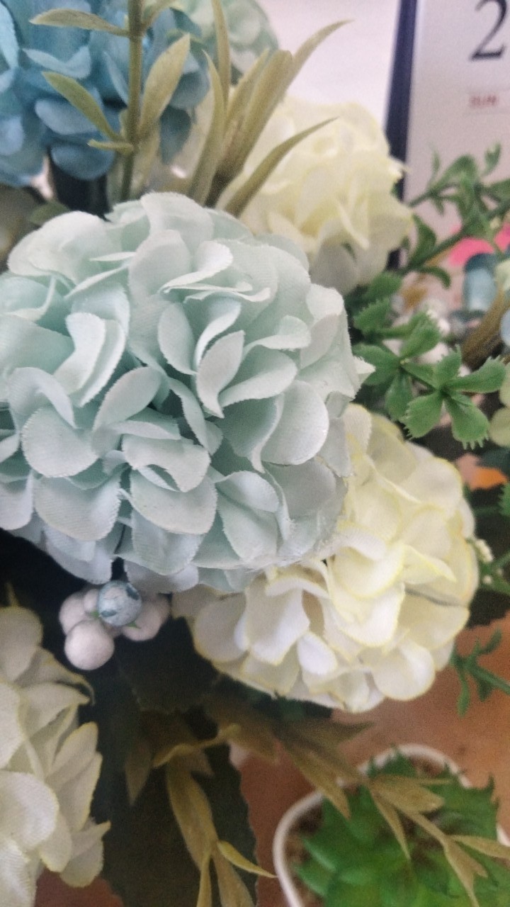 Sarung Bantal Guling Tidur Standar Set California Adem Grosir Murah