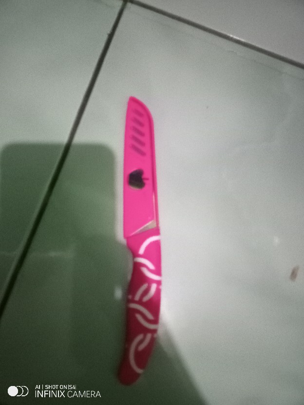 Pisau Apel Pisau Dapur Untuk Potong Buah Dan Sayur Bahan Stainless