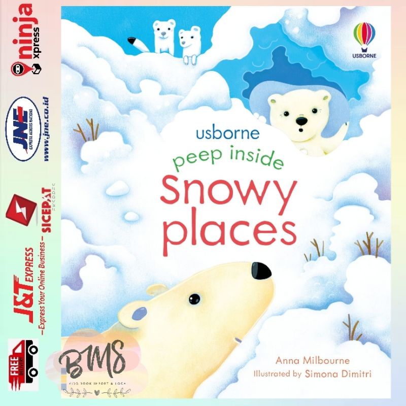 Usborne peep Inside Snowy Places