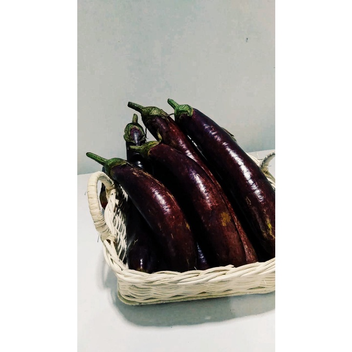 

Terong Ungu Sayur Segar 1 Kg - Sayur Corner