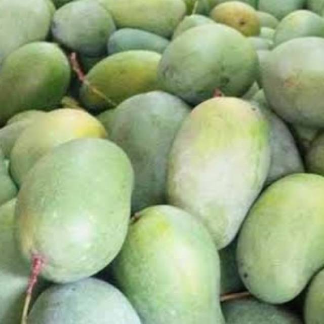 Mangga Harum Manis 1kg Shopee Indonesia