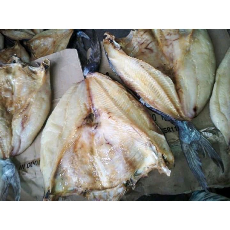 

promo ikan asin jambal roti 1kg super grade A asli pangandaran