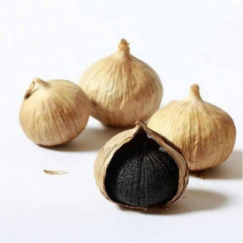 

BAWANG PUTIH HITAM TUNGGAL 250 GR - BLACK GARLIC LANANG KOLESTEROL TUMOR ANTIOKSIDAN ASMA BATUK