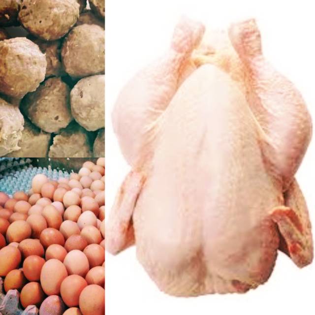

Paket Protein ayam, telor, baso segar murag