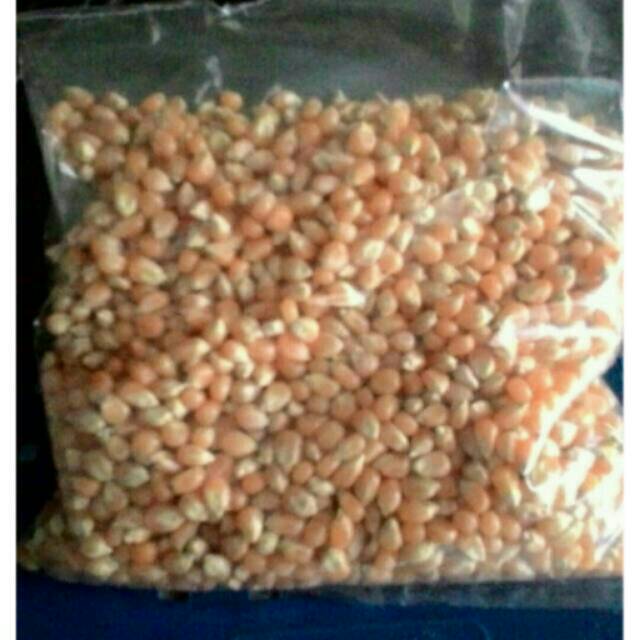 Jual Jagung Pop Corn Mentah Kemasan 1 Kg Indonesiashopee Indonesia 8946