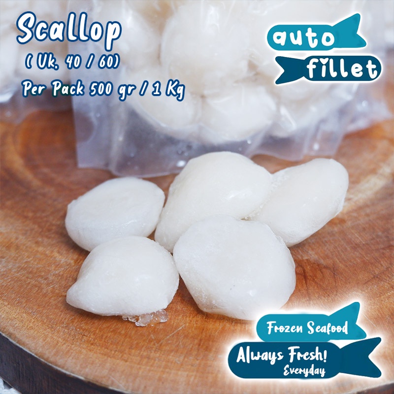 

DAGING SCALLOP KERANG UK 40-60 LOKAL FROZEN IQF KUALITAS PREMIUM