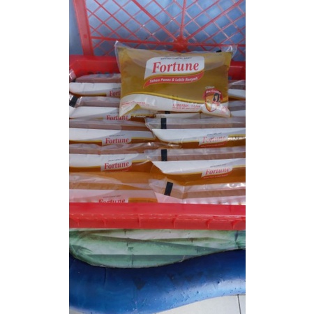 

FORTUNE Minyak Goreng