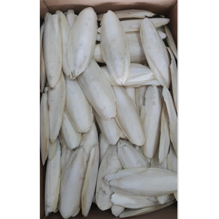 

Sotong-Tulang Cumi-asinan