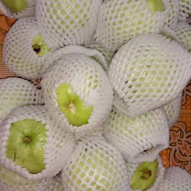 

Jambu kristal