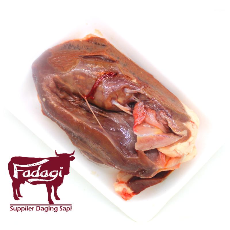 

JANTUNG SAPI 500 GRAM