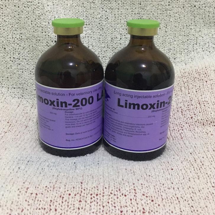 Terbagus.. Limoxin la antibiotik PMK - antibiotik untuk sapi anjing kucing ayam