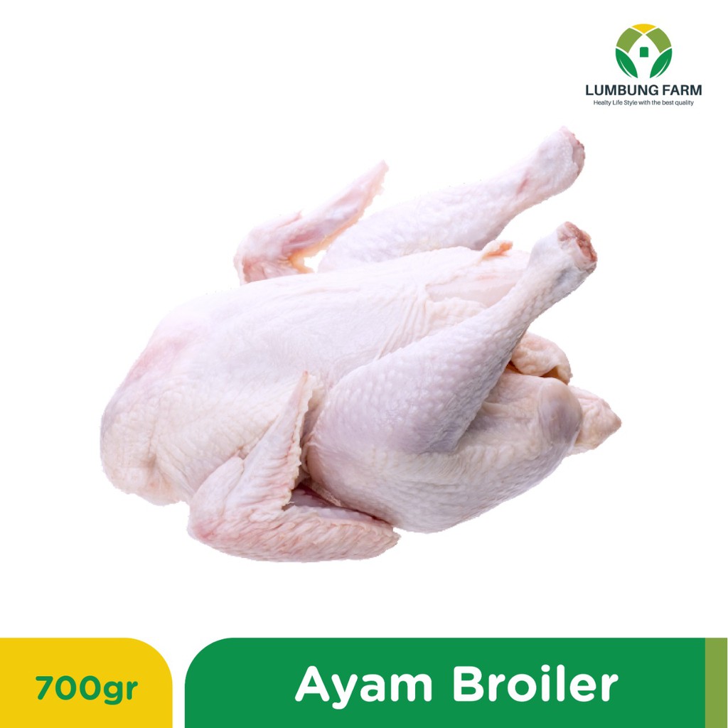 

AYAM BROILER 1 EKOR UTUH | AYAM KARKAS 700-800 GR | Sayur by Lumbung Farm