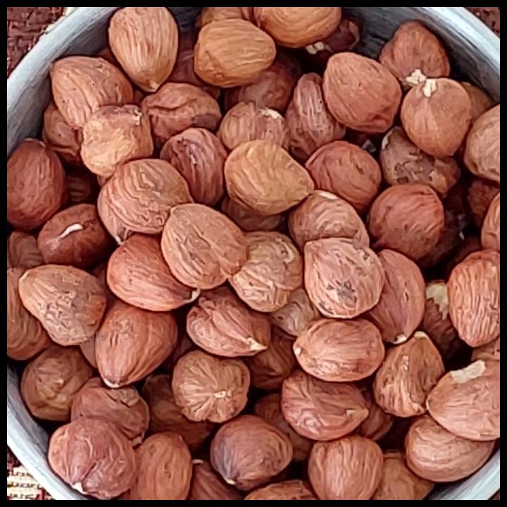 

DISKON TERBATAS !!! KACANG HAZELNUT MENTAH KUPAS 1KG TERLARIS