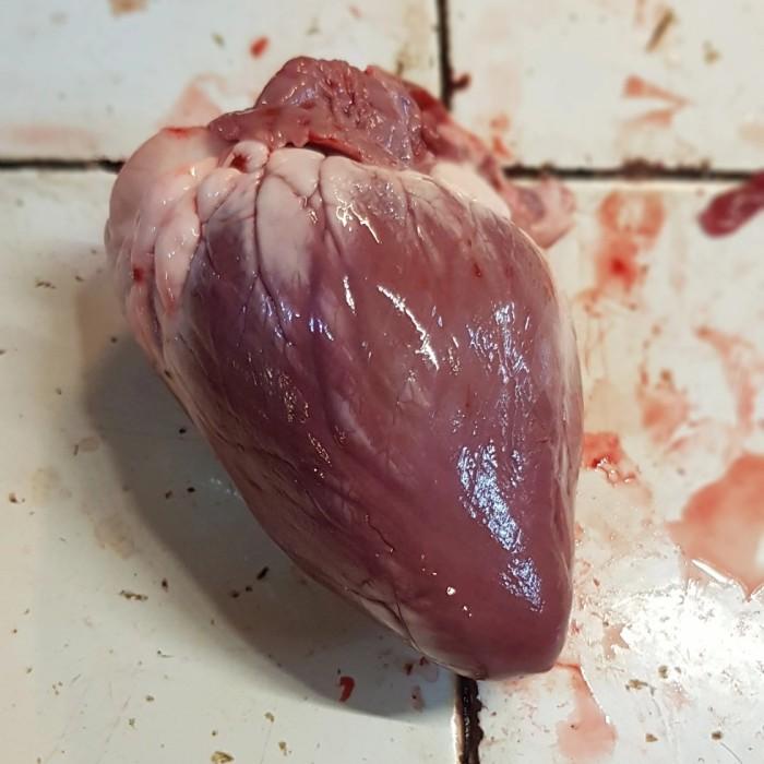 

Meat | Jantung Kambing Segar